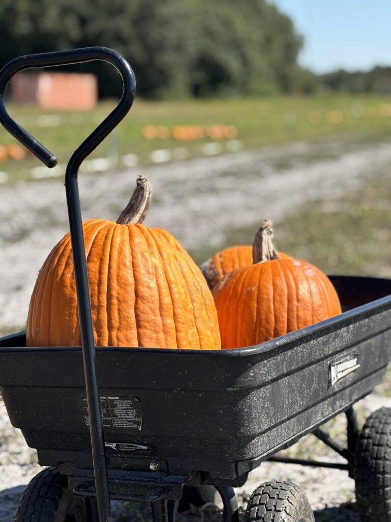 October Bucket List