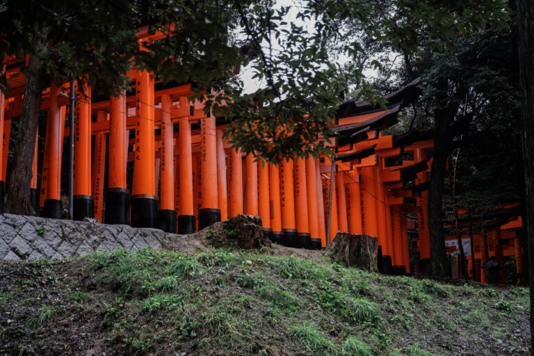 Reminiscing About Japan